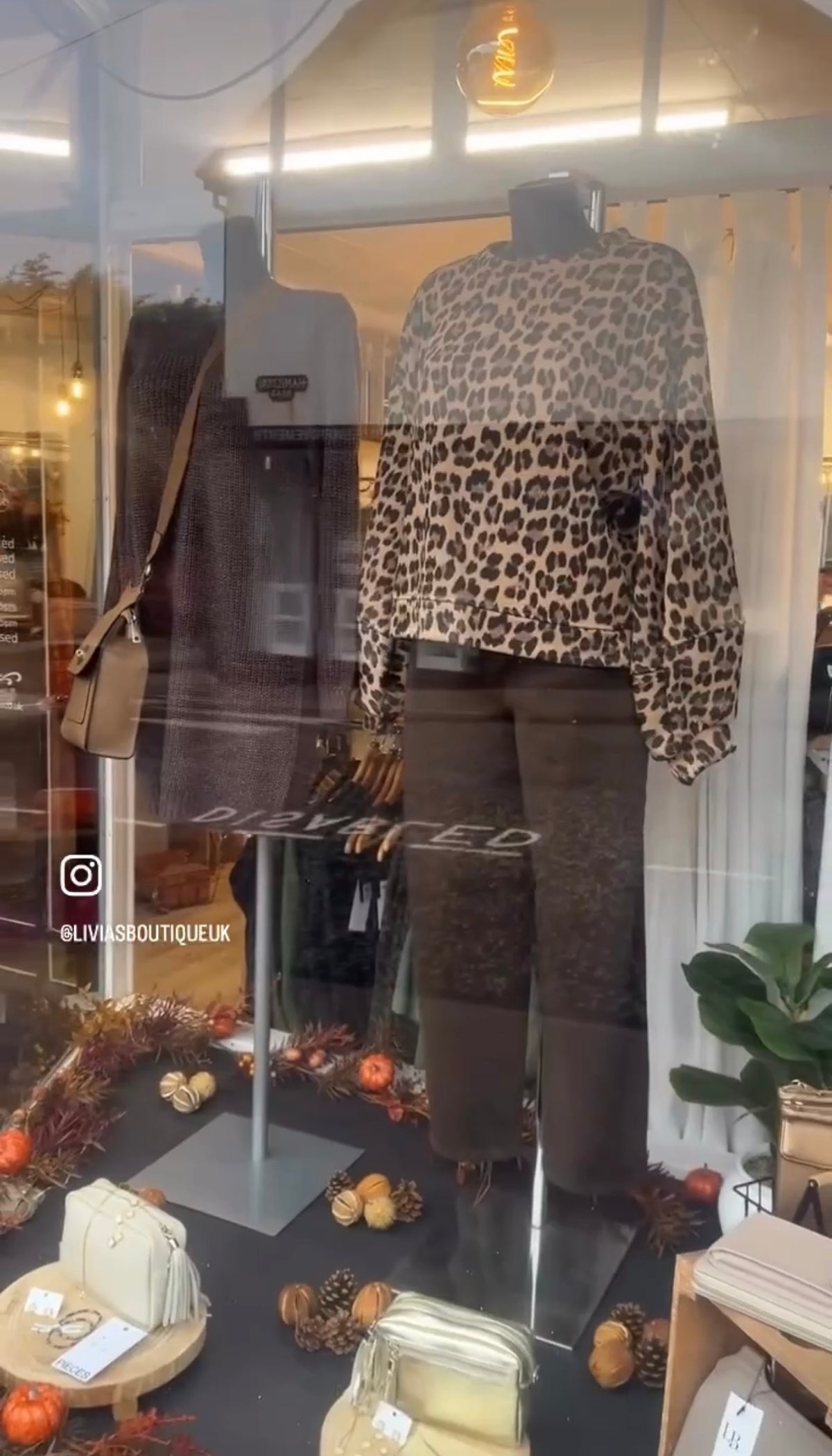 Animal Print Jumper