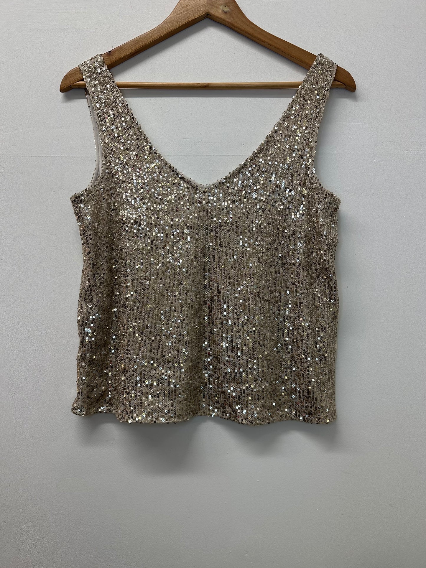Champagne Sequin Top