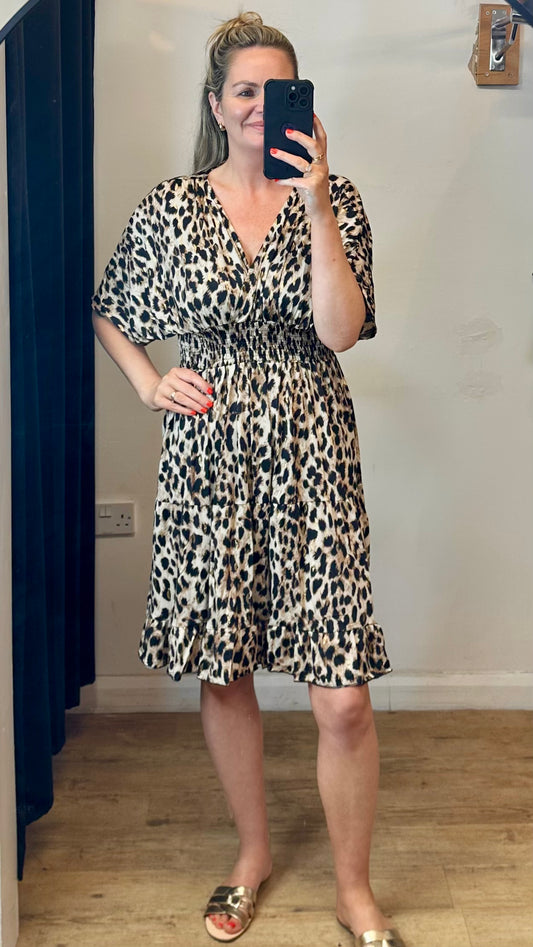 Brown Animal print dress